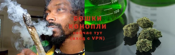 шишки Арсеньев