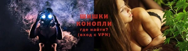 шишки Арсеньев