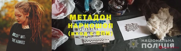 шишки Арсеньев