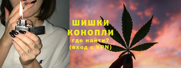 spice Аркадак