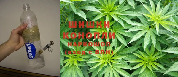 шишки Арсеньев
