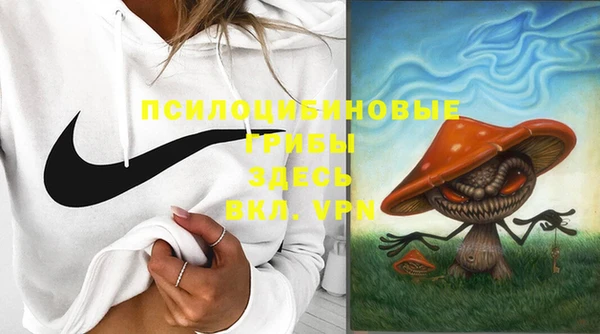 spice Аркадак