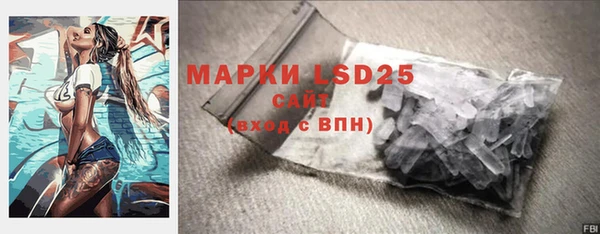 шишки Арсеньев